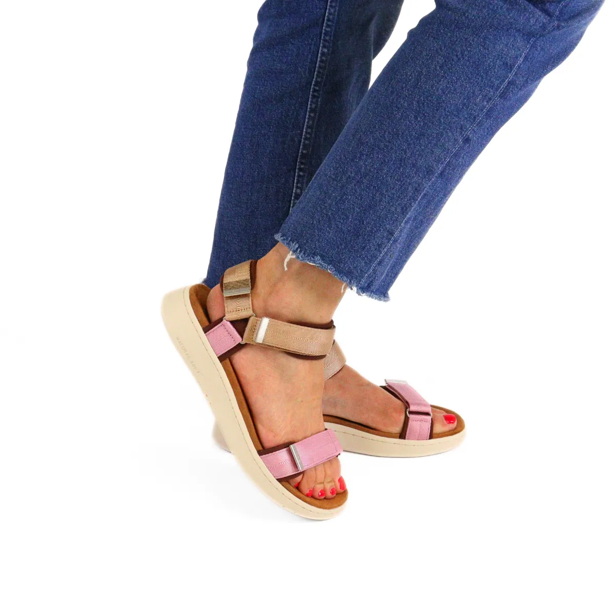 Line Multi Rose