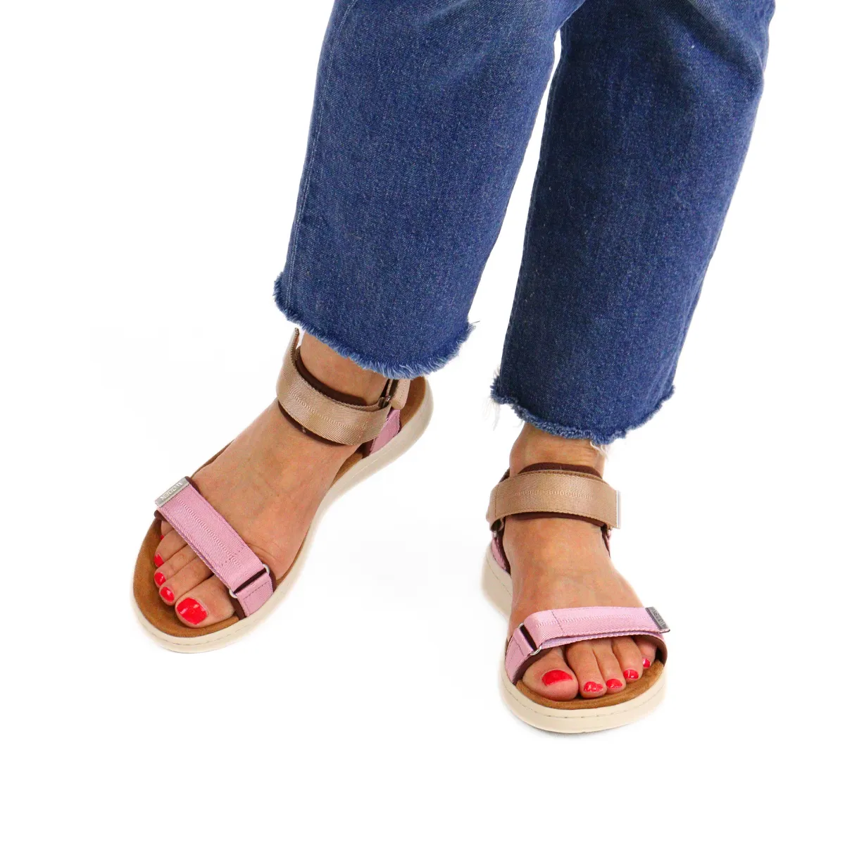 Line Multi Rose